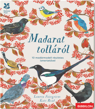 Madarat tolláról – 10 madármodell részletes ismertetővel